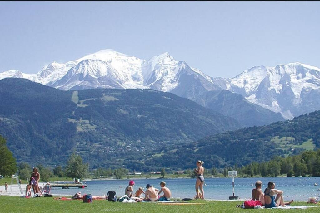 Super Appartement Cocooning Vu Mont Blanc Саланш Екстериор снимка